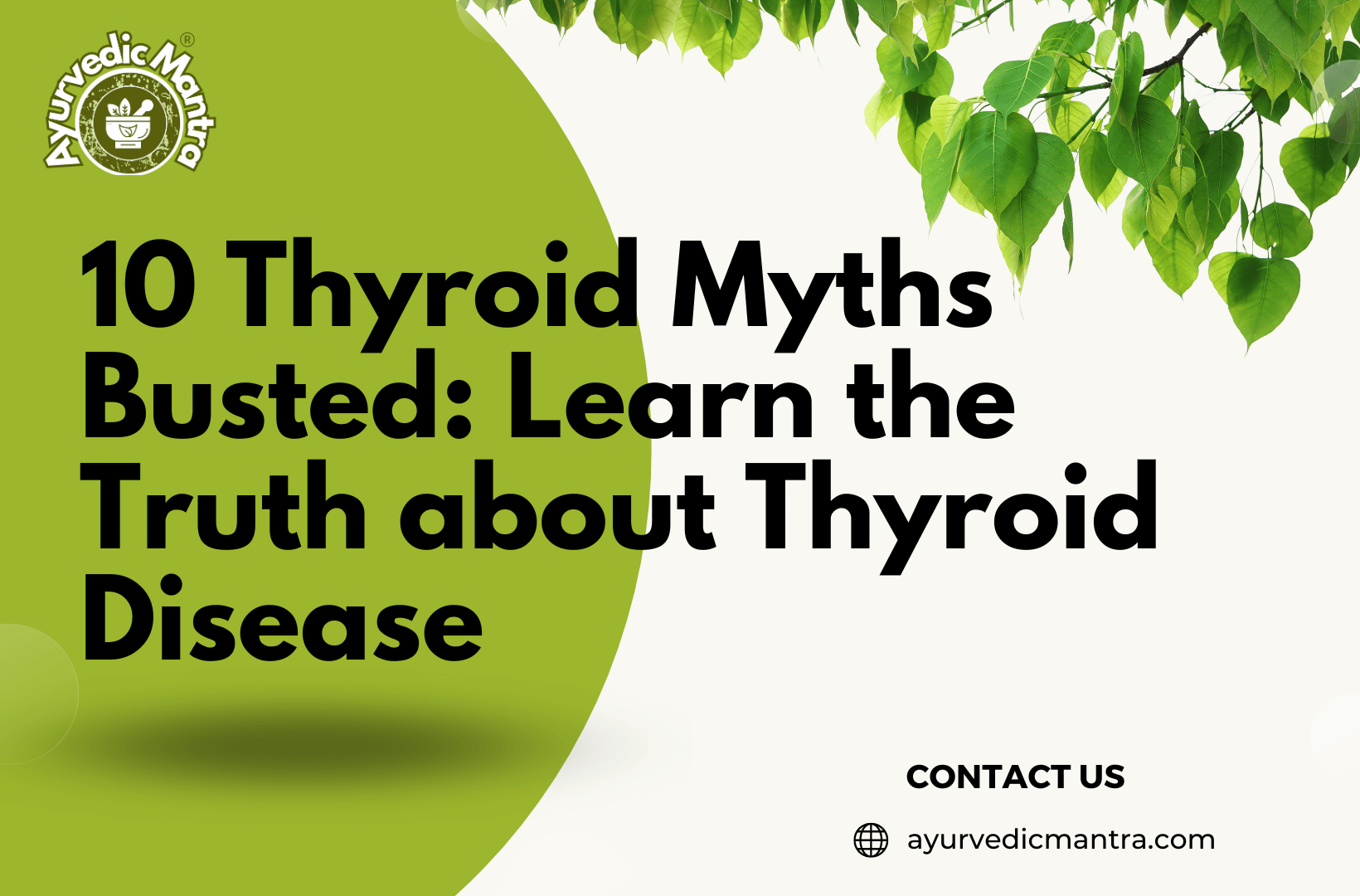 10 Thyroid Myths Busted Learn the Truth about Thyroid Disease