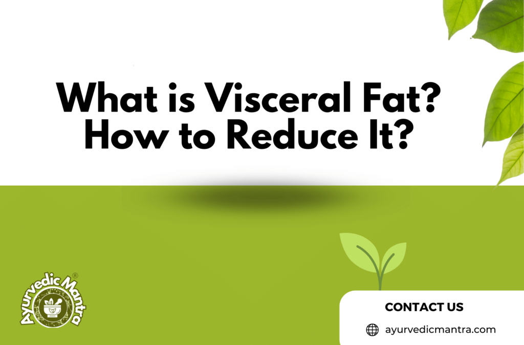 What is Visceral Fat How to Reduce It