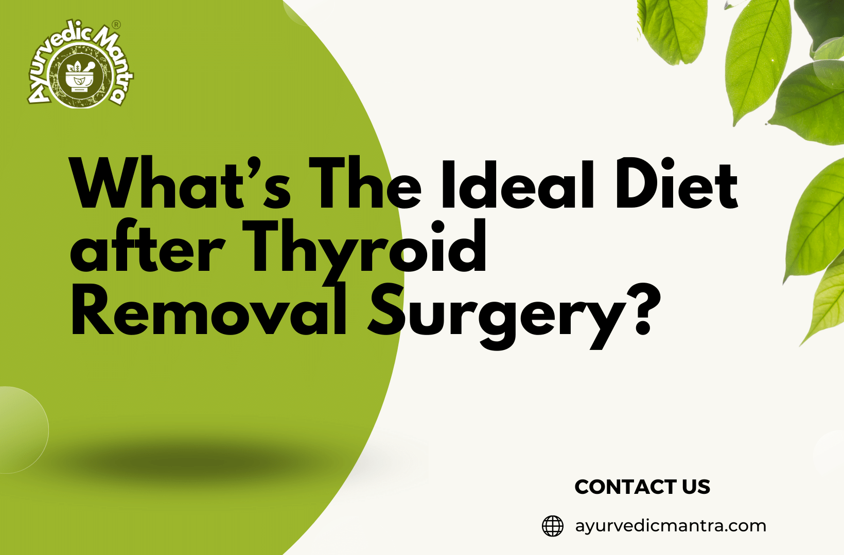 What’s The Ideal Diet after Thyroid Removal Surgery