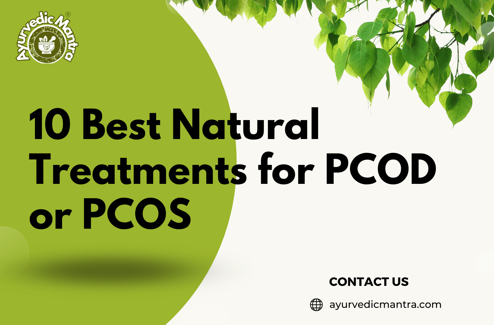 10 Best Natural Treatments for PCOD or PCOS