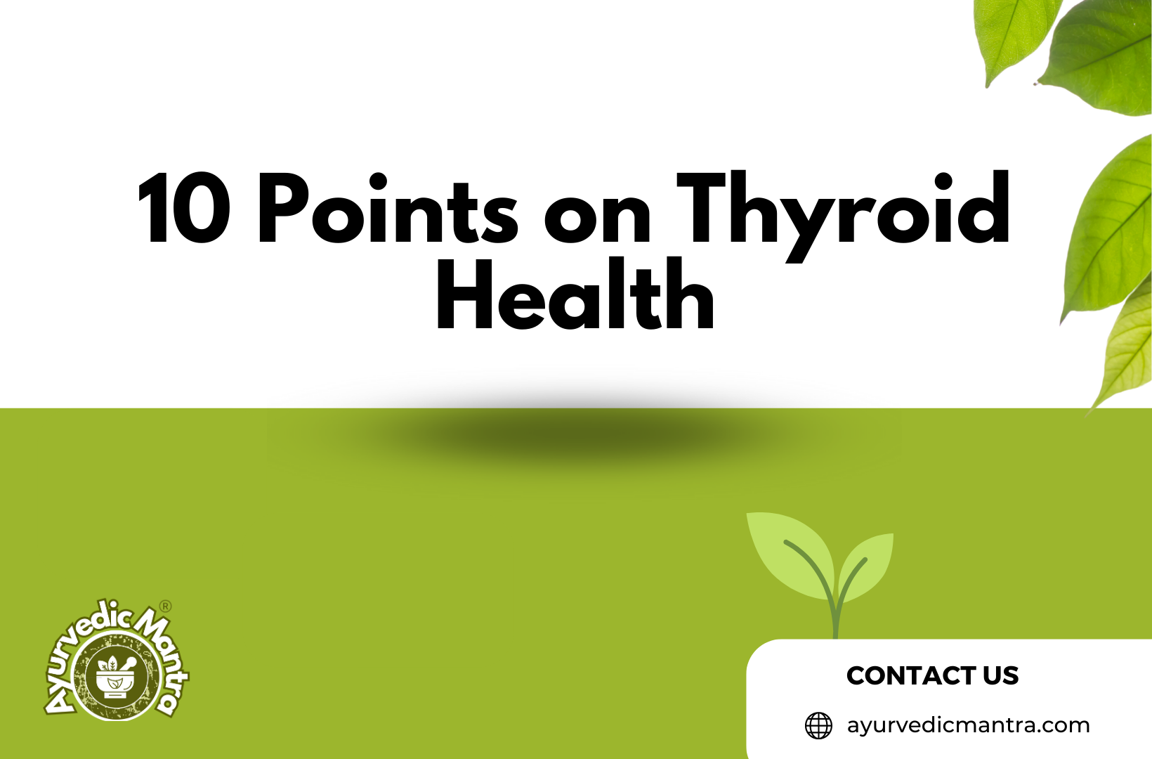 10 Points on Thyroid Health