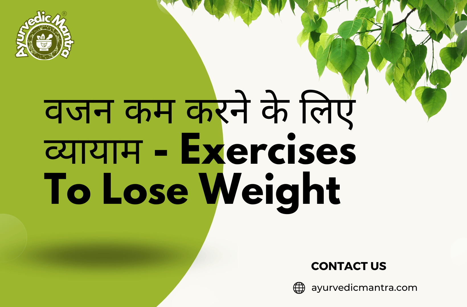 Exercises To Lose Weight