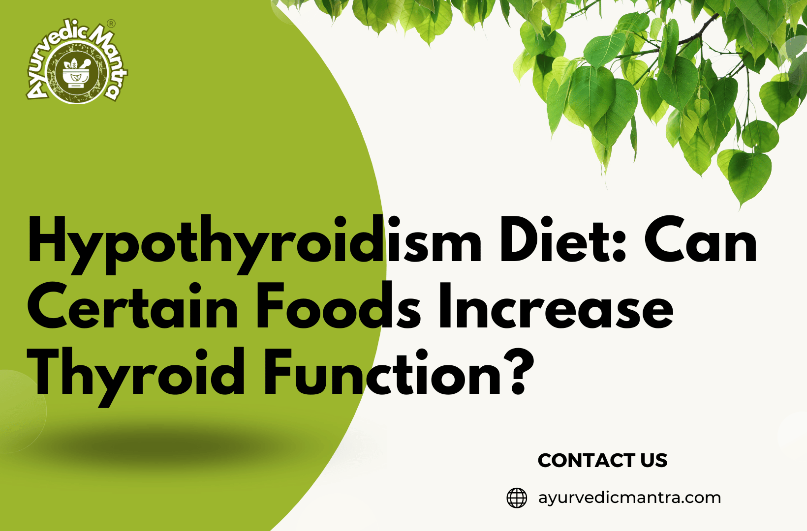 Hypothyroidism Diet Can Certain Foods Increase Thyroid Function